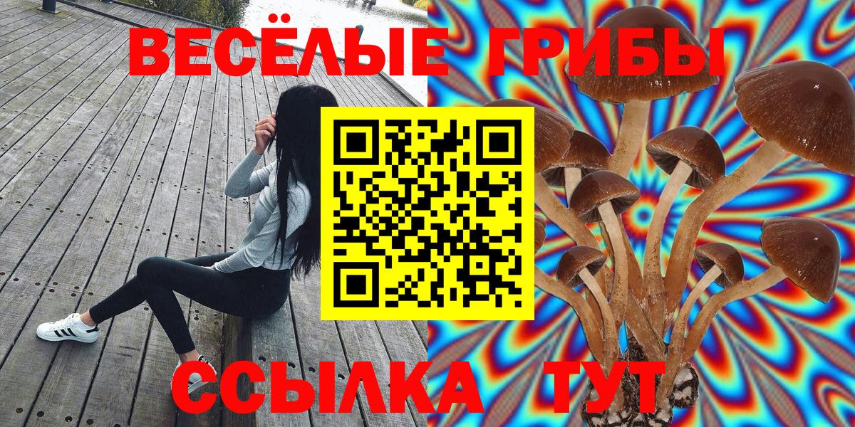 Обнинск  Псилоцибиновые грибы MAGIC MUSHROOMS  Вход с VPN 