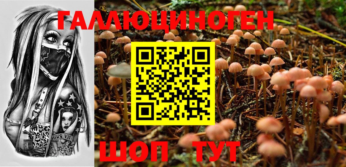 Псилоцибиновые грибы мухоморы Обнинск